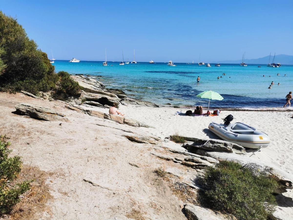 Farfalla Calvi  Buitenkant foto